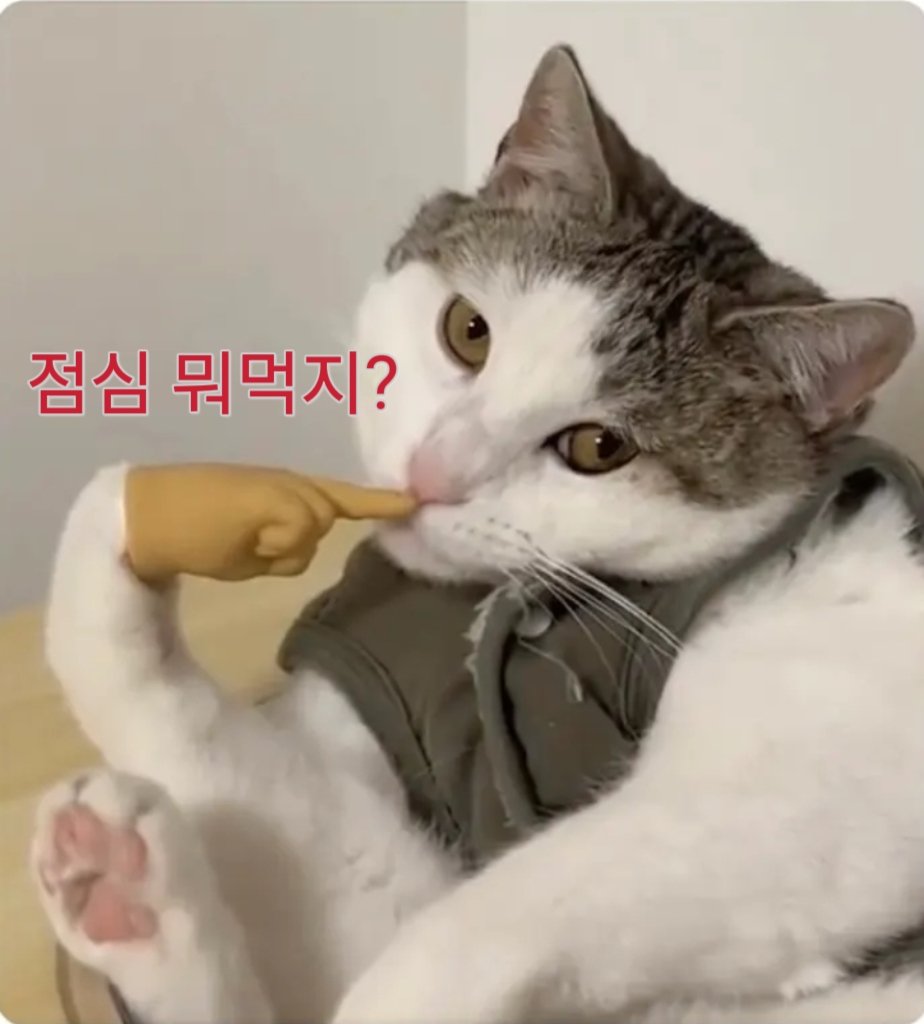 cdheyna's tweet photo. #점심 https://t.co/oKLABW2aD6