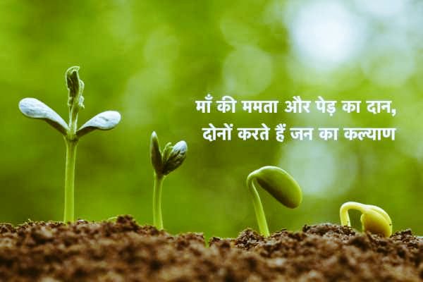 B_UPINDYA's tweet photo. @rashtrapatibhvn माता भूमि:👪पुत्रोऽहं पृथिव्या:🌍!

On #WorldEnvironmentDay, let’s nurture nature by planting trees, adopt sustainable energy to protect the environment and build a pollution free greener🌿Environment for Healthier Life.

#Happy_World_Environment_Day!🌱🚴‍♀️🌍
 #PlantTrees https://t.co/TnPWttvAC7