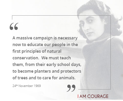 MirdhaOne's tweet photo. #WorldEnvironmentDay 

#NowForClimate 
"Inspired by Nature. For Climate. For Our Future. https://t.co/mMBaXdMVyM