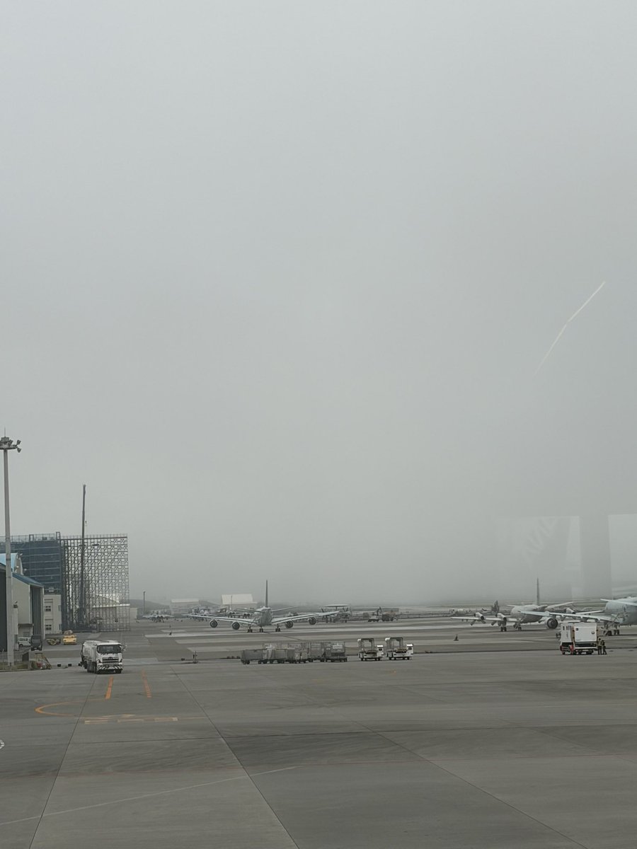 ryooosa's tweet photo. 那覇空港だけど相当な霧！
飛行機が到着出来ないみたい
これは相当遅れそうだな
#那覇空港
#霧 https://t.co/Zp5vfLU2R3