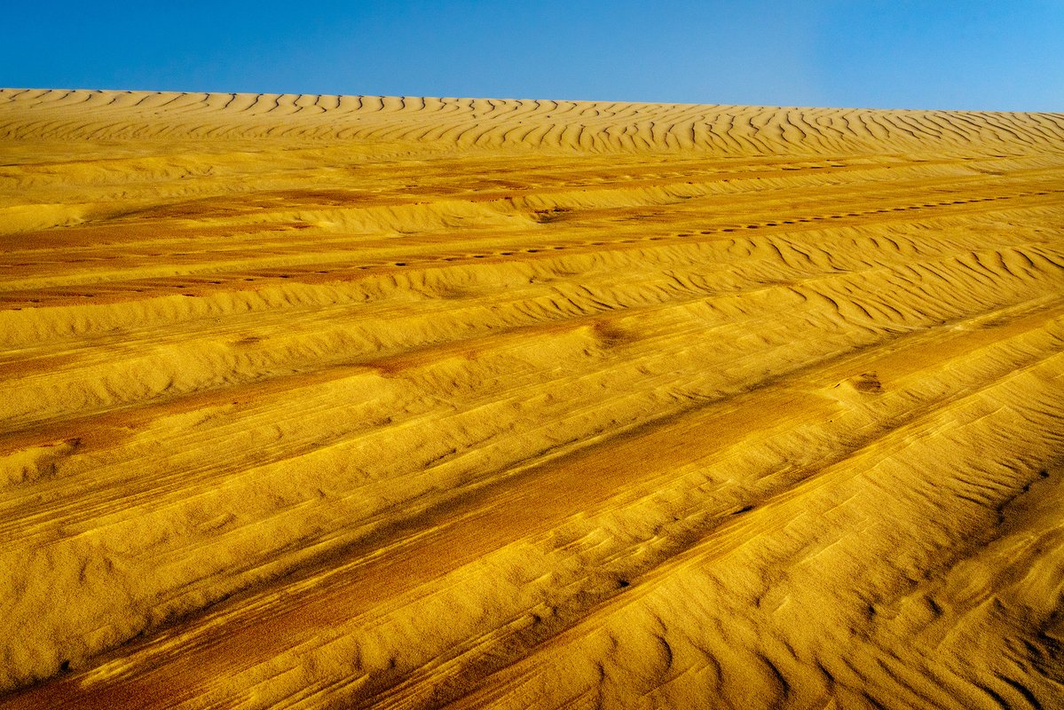 shrkshtr's tweet photo. Long travel day as Beri and I depart for New Zealand's South Island. We go from summer into winter. In the interim, here are some images from a recent shoot on the Oceano Dunes along California's beautiful Central Coast. Most of these were captured at 800mm. https://t.co/bqvyfH4fgj