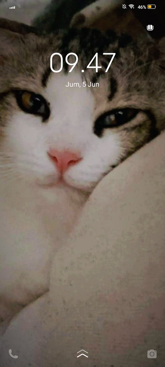 thisischaaa03's tweet photo. @mynarcissuss homescreen b ajaa, tp lockscreen istimewaa wkwkw🤍 https://t.co/lOXbCP7cWv