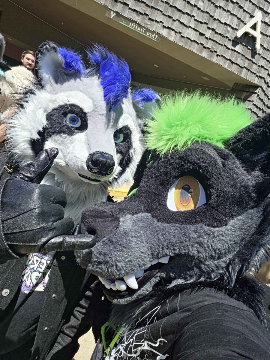 ZappyRacc's tweet photo. @fritzraccoon Im doing my part! https://t.co/REZgcI7feh