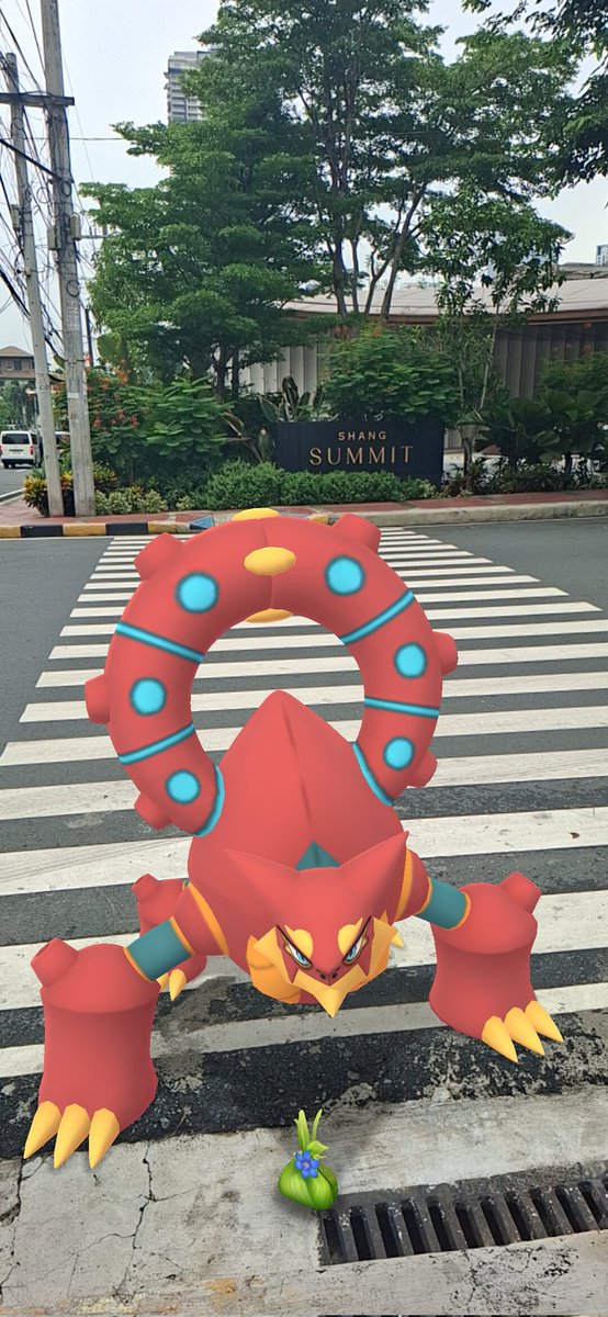 kenni_gi's tweet photo. "Tripping"

Join the fun of Pokémon GO! https://t.co/lQcwqZFnap https://t.co/Q5akKNiPRE