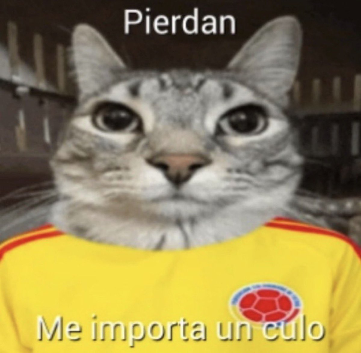 lixmss's tweet photo. @FCFSeleccionCol @avianca https://t.co/1Akvocuq1B