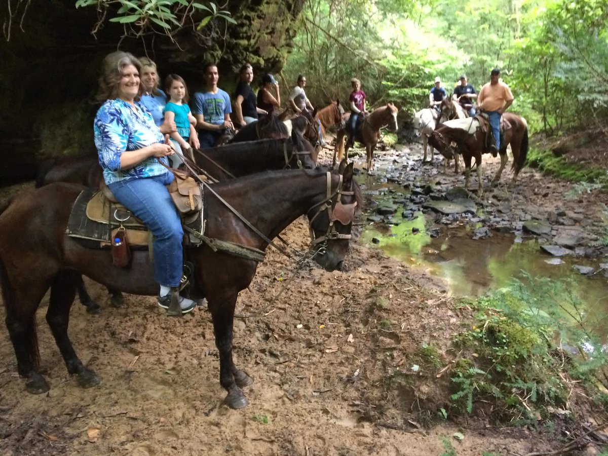 sepacktrips's tweet photo. Your first ride should be unforgettable for all the right reasons.

Gentle horses. Patient guides. Your comfort is our priority. 🐴

#SoutheastPackTrips #BigSouthFork #firsttimers #beginnerriders #horsebackriding https://t.co/d3sY50wp1K