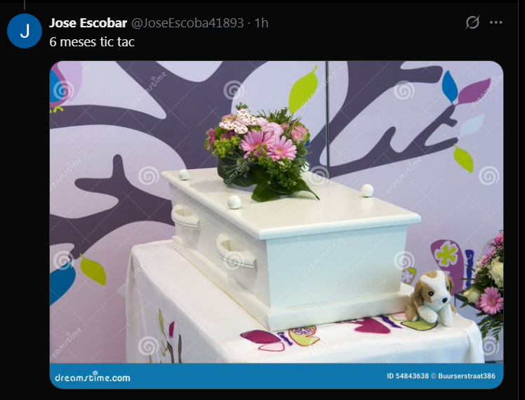 BellesMorte's tweet photo. pero que linda la gente que anda bancando a pareja che, hermoso todo, una conexion preciosa quedo https://t.co/tReVcuZW5l