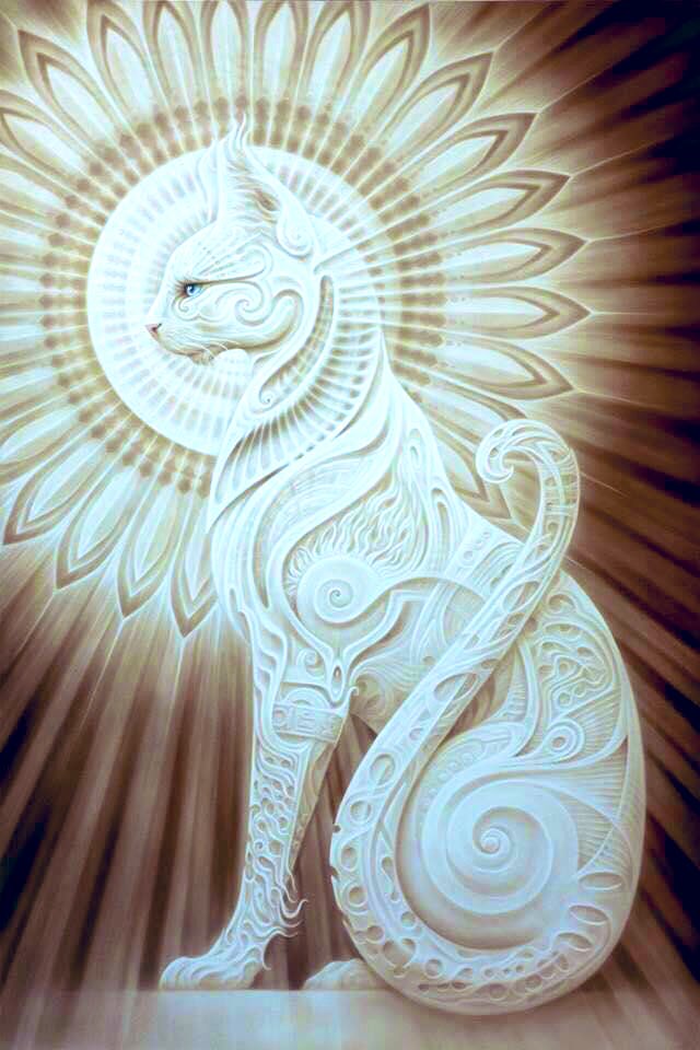 FollowCO's tweet photo. knife on table
willing &amp; able 
something less
than surely stable

stars on sky
wonder why
what seems the best
brings eyes 2 cry

doors conceal
things surreal
that beg to be seen
behind the hidden deal 

locked-in &amp; waited
with breath bated
truly Fated
2 raise wise souls so elated https://t.co/a1J9DEOYMA