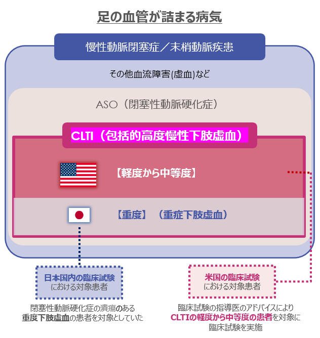 AnGes_IR's tweet photo. 【アンジェス用語集】
（HGF遺伝子治療用製品の対象疾患関連の用語③）

CLTI（高度慢性下肢虚血）
CLTIはPADの末期状態であり、血流不足によって安静時疼痛・難治性潰瘍・壊疽のいずれかの状態です。ASOはその原因疾患の中で最多を占めます。つまり、ASOという「病気」が進行して悪化した状態を「CLTI」と呼びます。
CLTIは血行再建を行わなければ、下肢切断のリスクが高く、切断後の死亡率も高い重症な疾患です。

従来はCLI（重症下肢虚血）と言われ虚血の程度だけで評価していましたが、実際には、症状により予後を大きく左右することが分かり、より実態に即し、下肢切断リスクなどを反映したCLTIが提唱されました。
CLTIはPADの症状が重篤化し、安静時疼痛・壊疽・2週間以上続く下肢潰瘍のいずれかの状態と定義されています。

アンジェスが米国で開発を進めている「HGF遺伝子治療用製品」は、軽度から中等度のCLTI���対象とし、重症化する前の段階での治療を目指しています。

一日でも早く患者さんへ新たな治療の選択肢を届けられるよう、米国での開発を進めてまいります。