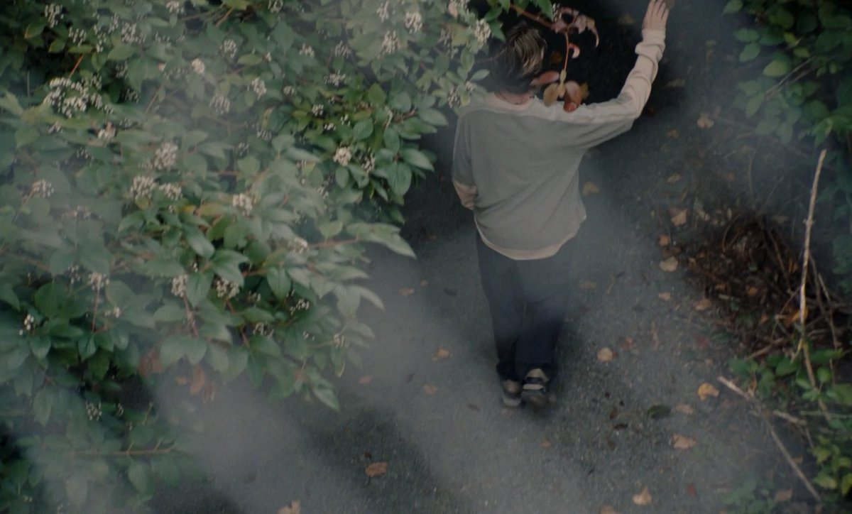_HighAndDry's tweet photo. Blue Heron (2025)
Dir. Sophy Romvari https://t.co/aKuNAC7cW8