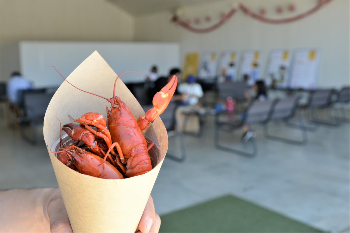 Metsa_Official's tweet photo. \\6/6-7もザリガニメニュー登場🦞//

「メッツァの夏至祭」では欠かせないザリガニをブーケスタイルで💐
北海道 阿寒湖産のザリガニを贅沢に7匹使用。香り高いディルが旨味を引き立て、爽やかな北欧の味わいを演出👌

ザリガニデコレーションを施したミッドサマーラウンジでお召し上がりください🍴 https://t.co/WGzMtb1i3d