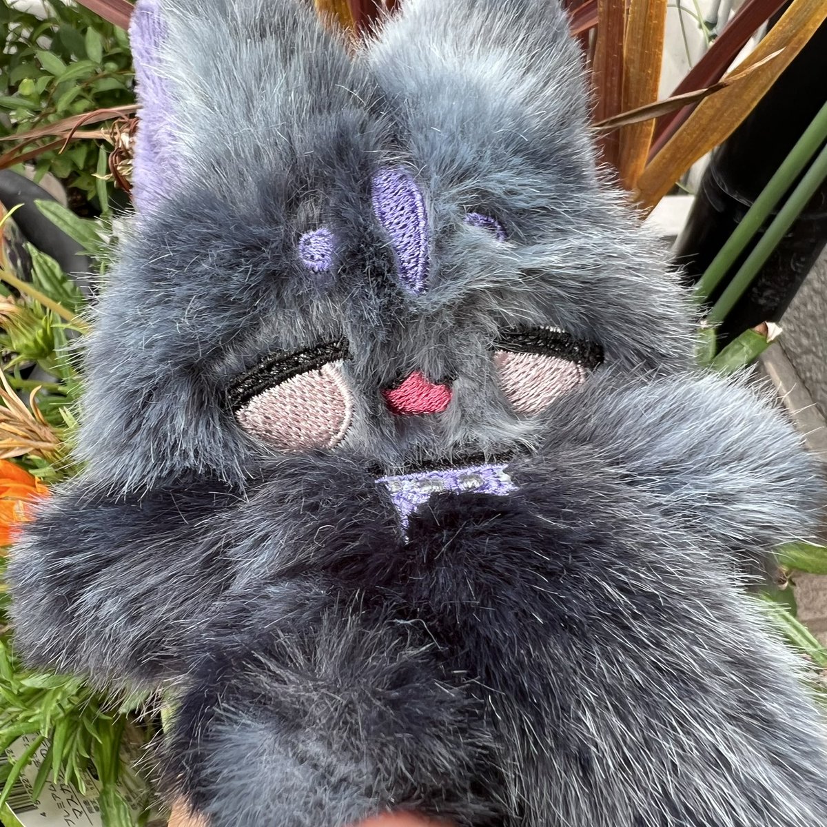 ふくちゅげ幻獣真夜中くんのお家探しをメルカリオークションにて