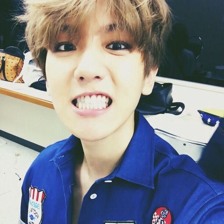 chromebaek's tweet photo. gwrr https://t.co/9no5SfINrJ