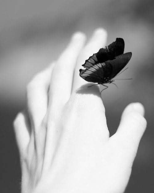 m77481070's tweet photo. “Porque sou aquilo que toca minha alma.”

Khalil Gibran https://t.co/l7RfXkQfXU