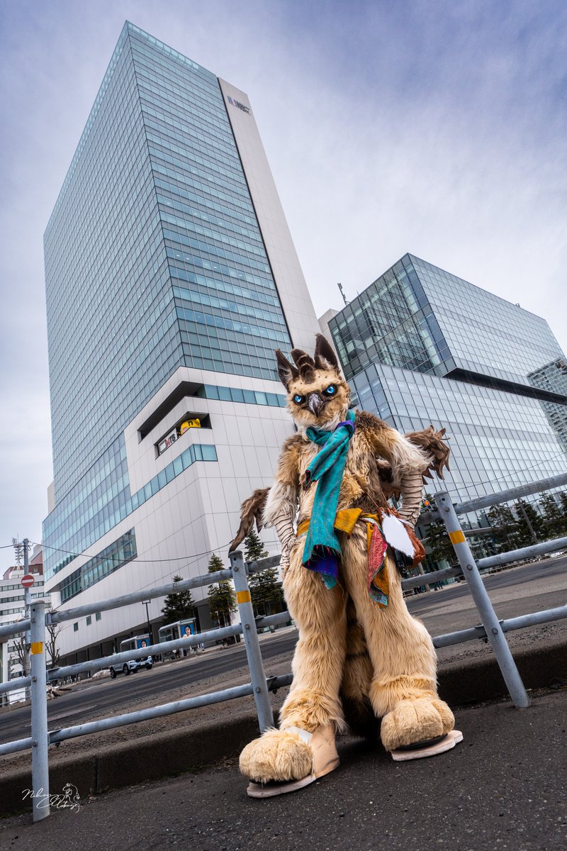 eclairius_grif's tweet photo. Just a griffon taking it easy on the streets.

📸@NihonOOtokage 
#FursuitFriday https://t.co/uL6Ml54pwm