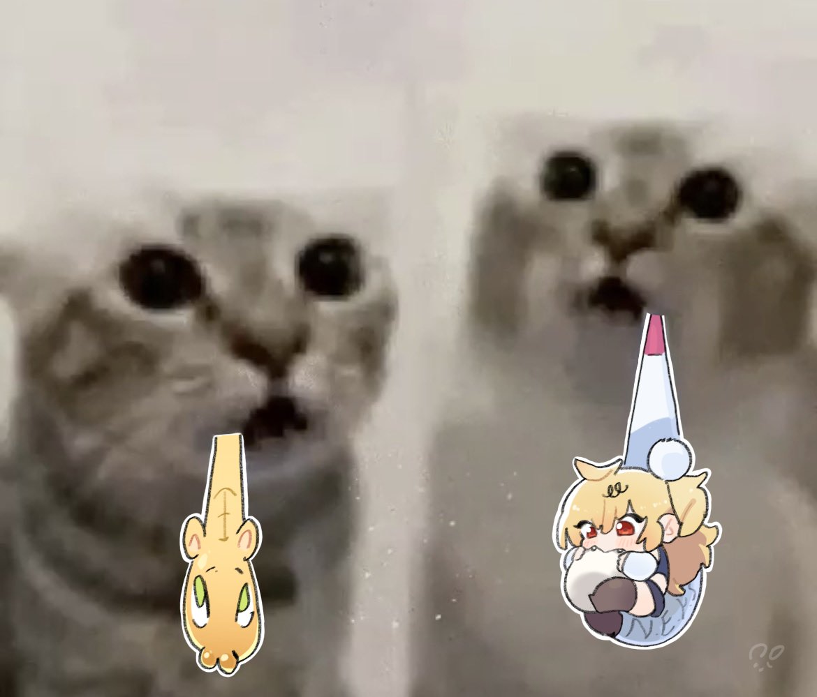 犬匠 tweet media