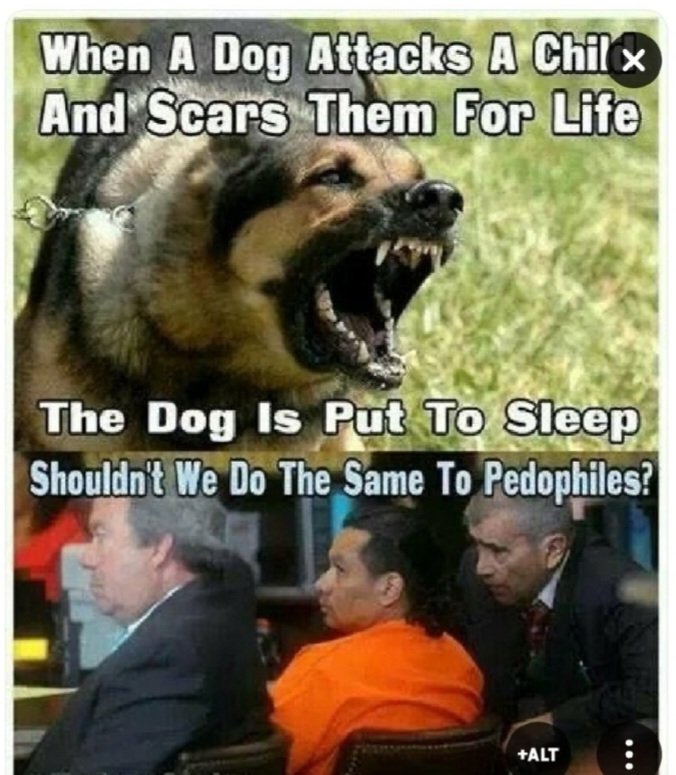 floweredog's tweet photo. @NancyMace Need to be passed all over the United States of America 🇺🇲 https://t.co/dVMQ0jgQOi
