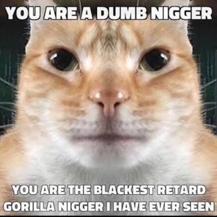 Hypernaut_'s tweet photo. @DrSquigger https://t.co/1eOe0r9DHc