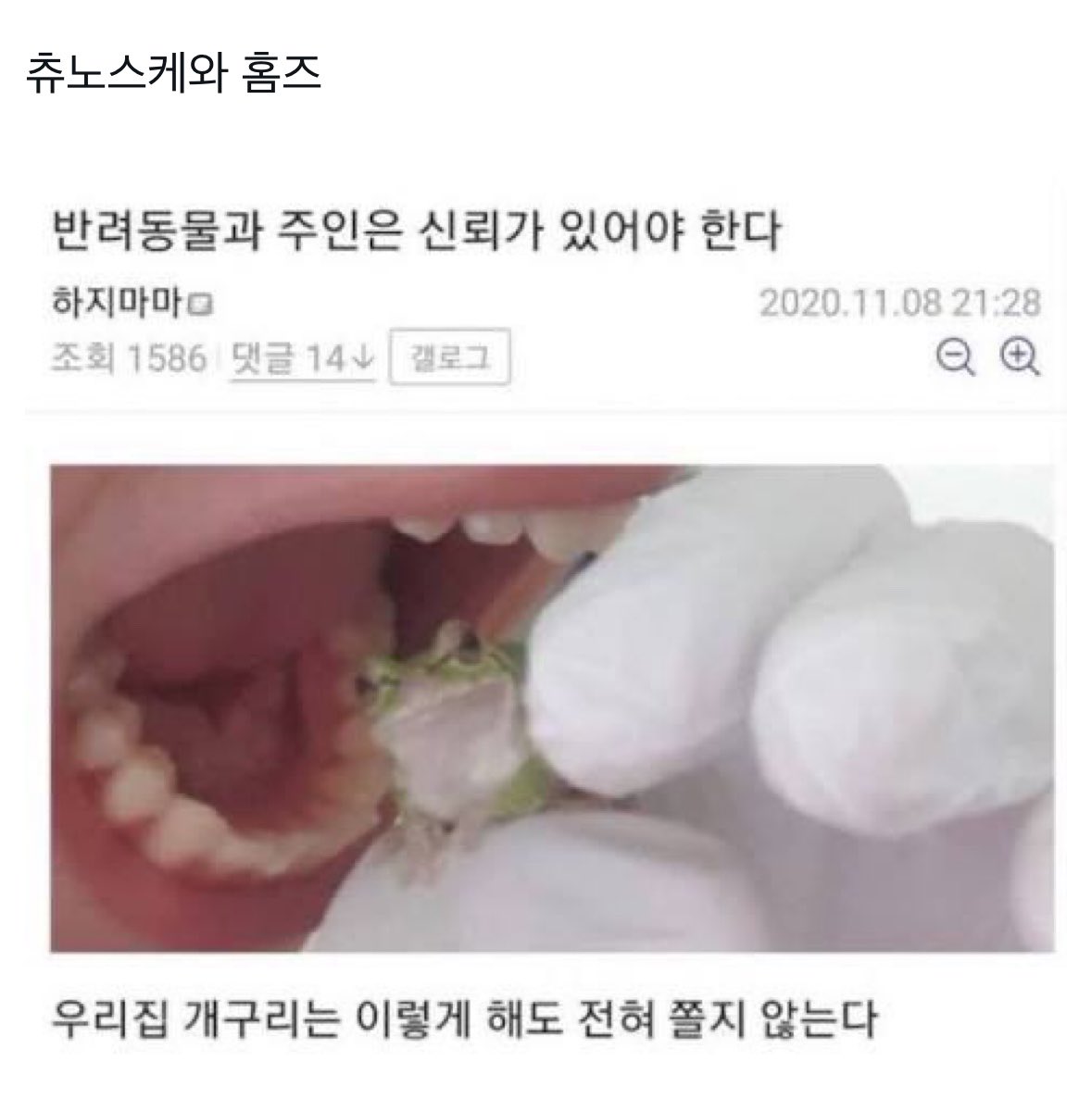 tcKLUreQQ476360's tweet photo. 비계에서 이런 트윗만 씀 (아닙니다) https://t.co/PDTsPZPC0u