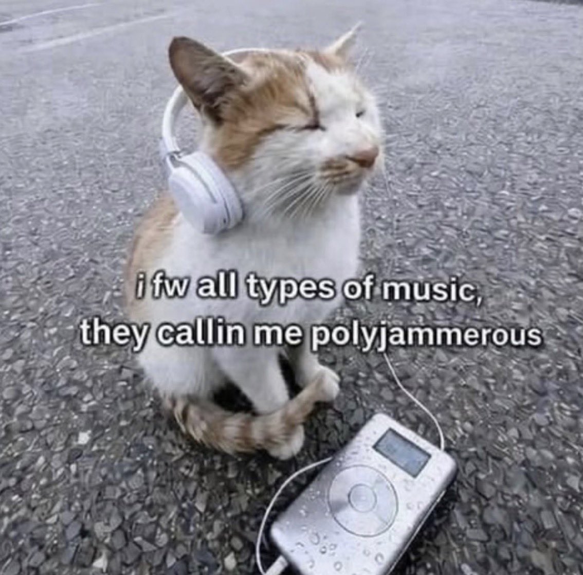 literallymecats's tweet photo. https://t.co/rYFpsRW7VE
