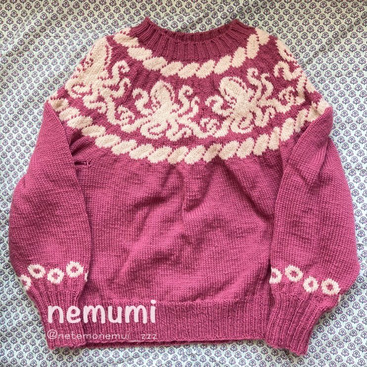 netemonemui_zzz's tweet photo. タコニット

数年がかりで図案をこねていた丸ヨークのセーター今年やっと編めた！🐙
袖は吸盤の模様です◎ https://t.co/xcEmoBPYLQ