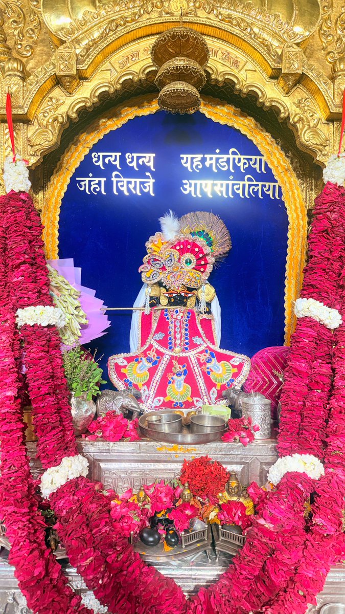 LSBjodhpur's tweet photo. आज के दर्शन श्री सांवलिया सेठ जी 05 जून 2026 🙏 https://t.co/t3g9U144sz