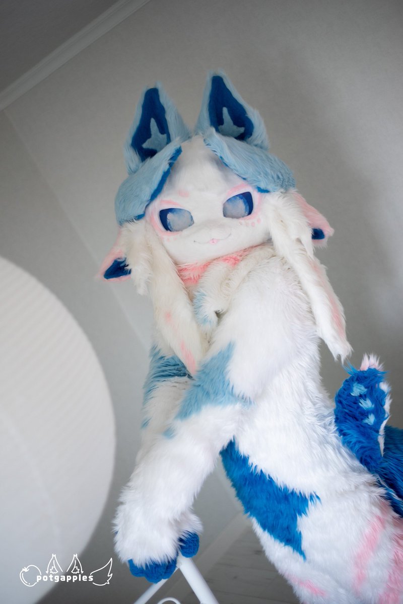 Little_Hotsun's tweet photo. #FursuitFriday
허리를 펴보세요😙 https://t.co/o6td95yeK5