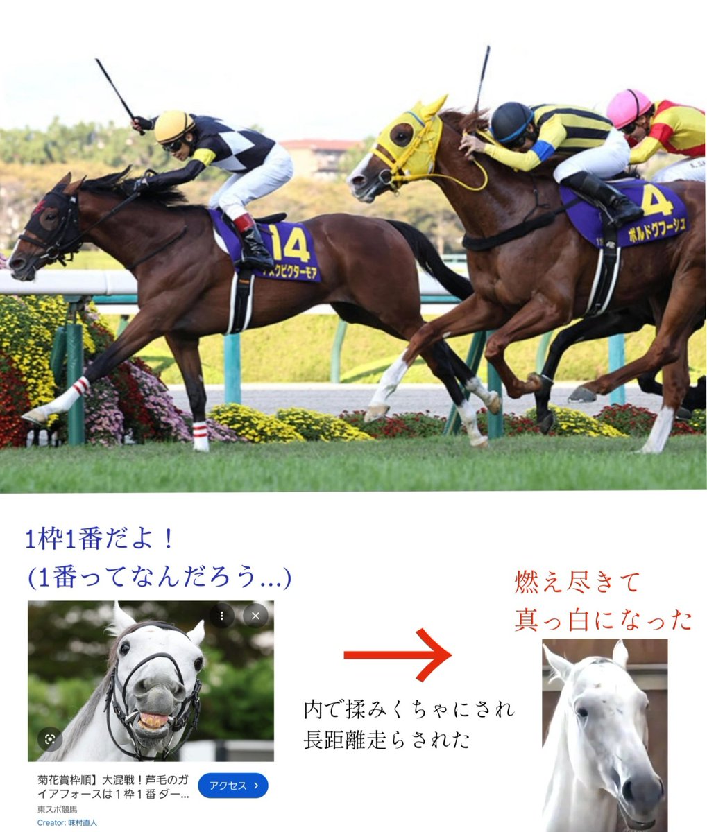 keiba_pansa's tweet photo. ガイアフォース、7枠14番
土曜の馬場＋日曜の天気次第だけど...内よりはいいかな🤔
アスクビクターモアの菊花賞14番と同じ14番で勝てということでしょうか？(更に同枠ハーデス) https://t.co/RX0kwdFsoC