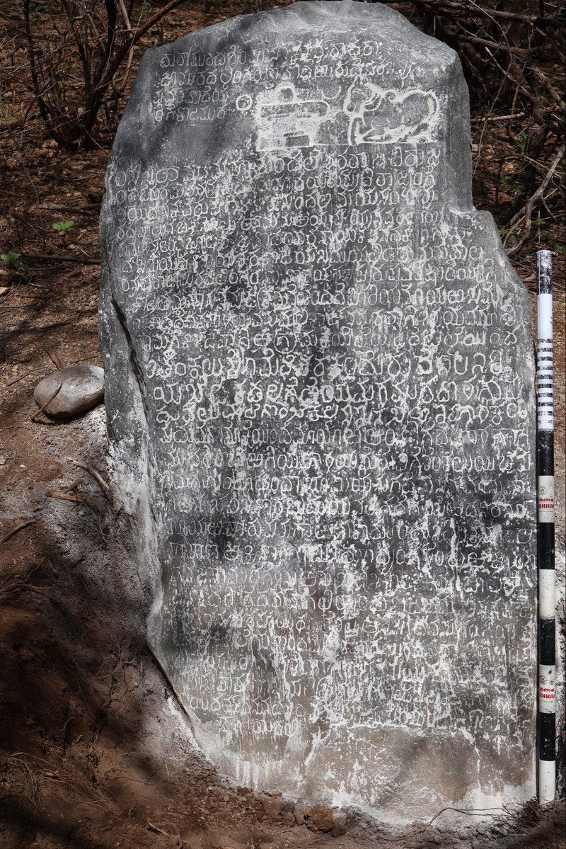 VedveerArya3's tweet photo. *Krishnadēvarāya inscription from Mudumalai Tiger Reserve Forest,Tamil Nadu

It is written in Kannada language and characters,dated in Śaka 1448,Vyaya,Pālguṇa,ba 3,Monday = 1527 C.E.,February 19. 

It records the gift of a village Kadadevanhalli situated in Hiriya Mayara sime, after renaming it as Mallikarjunapura to Parvata vodeya,the disciple of Linganna vodeya of Dharapura by Dannayaka of Kongunadu sime and Palarasa of Koteya sime. The gifted village was under the territory of Balaraja vodeya and which falls under the administration of Ayyappa vodeya.

Courtesy: Yaakkai Heritage Trust,Coimbatore,Tamil Nadu.
