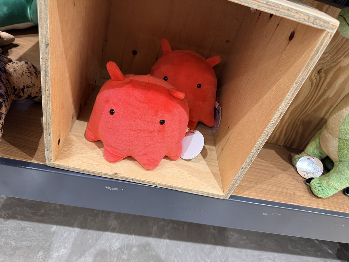 超かぐや姫！』公式じゃないけどメンダコのぬいぐるみがららぽーと立川