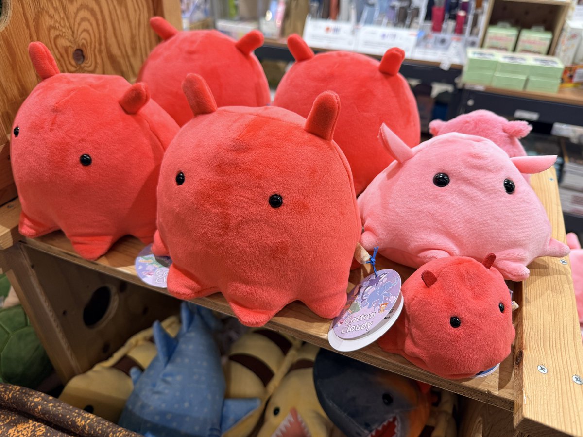 超かぐや姫！』公式じゃないけどメンダコのぬいぐるみがららぽーと立川