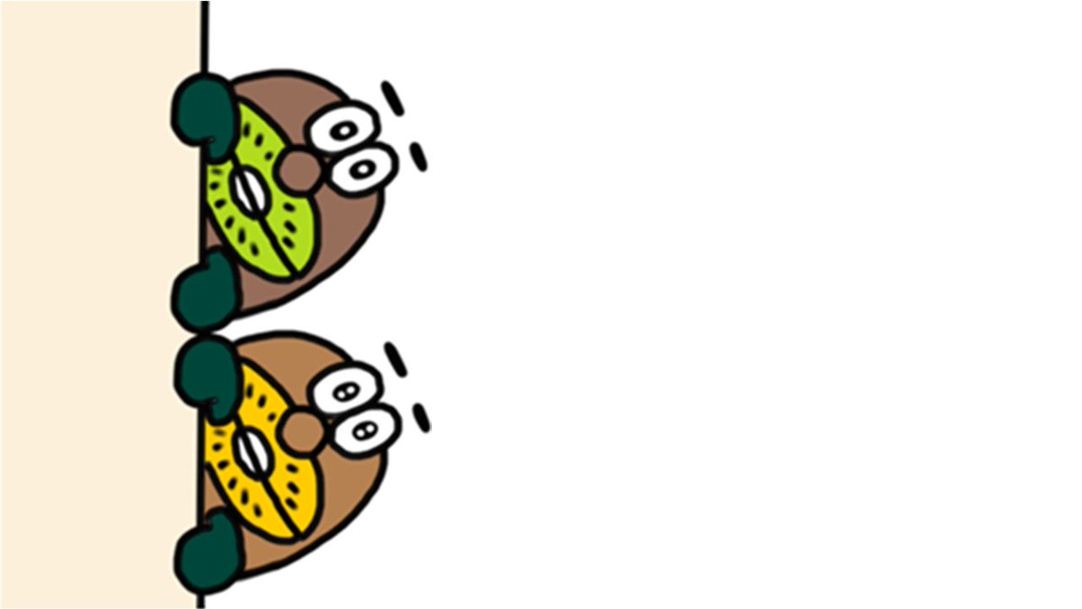 zespri_jp's tweet photo. しっ見て
あれ、本国から来たかなりエラい人らしいよ😓
今日はまじめにやろうね、ゴールド https://t.co/NWI9YBVr33