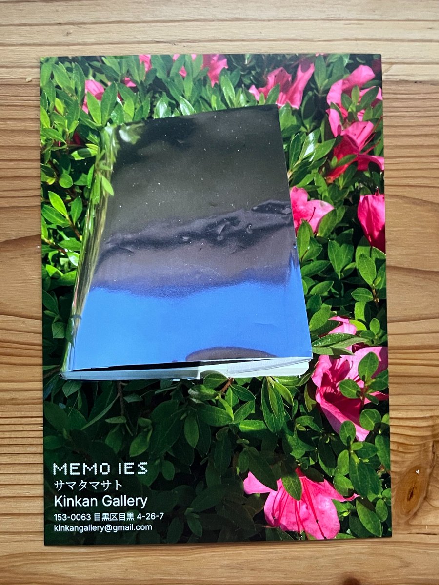 2dawn's tweet photo. 新刊の『MEMO IES』は「スーラング（Suurang.）」=宇宙文（!?）文体につき『ノーバディ～』よりアブストラクトマシマシ、「？？？？」多め。それでもやっぱり最後にはジーンときちゃう。どういうこと。 https://t.co/a49ywZvsNd