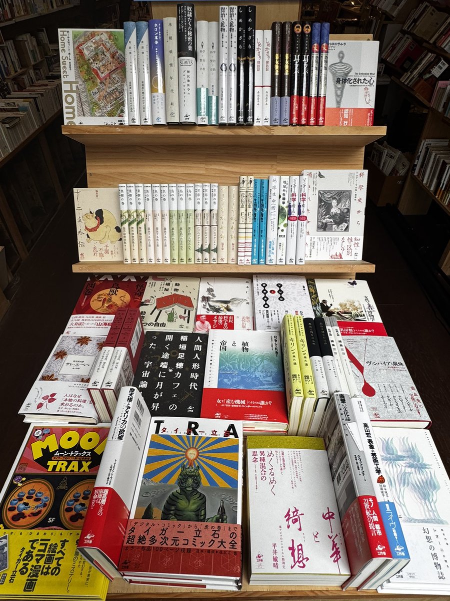 kkyysuzuki's tweet photo. 本日は、Readin' Writin' BOOK STORE @ochimira の店番です！

今月から、工作舎さん@kousakusha のフェアも始まっています。
個性豊かな表情の本が多くて、どれも面白そうです。 https://t.co/TQEyIoGFzX