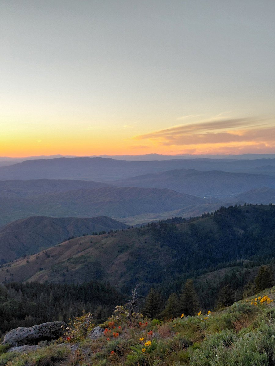 7lostinthewoods's tweet photo. after sunset https://t.co/yjgTol4bvy