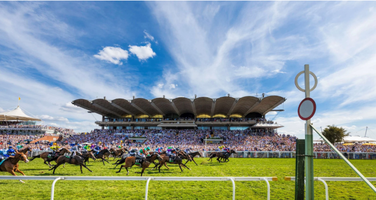 IMarkYourCard's tweet photo. I lied, email just gone out for Friday.

Found a few I like. Thirsk, Bath, Muss and Goodwood.
Epsom can have the show ponies, I need to find some winners, not play guessing games with the rich folks. 

Three picks with write-ups and a couple of speed system selections. https://t.co/qy4WuFpZ04