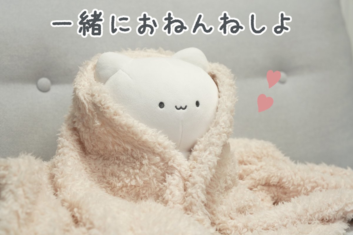 CF_Creation's tweet photo. ＼🚨本日終了🚨／

ゆきまるぬいぐるみ化プロジェクト！

クラファンは本日23時59分までとなっています🙌
ご支援忘れにご注意ください🚨
ラストチャンスを絶対にお見逃しなく👀✨

▼今すぐURLをチェック
https://t.co/mPJ2ZrfQxi

@yukimaru_biyori https://t.co/MXwprYzOZu