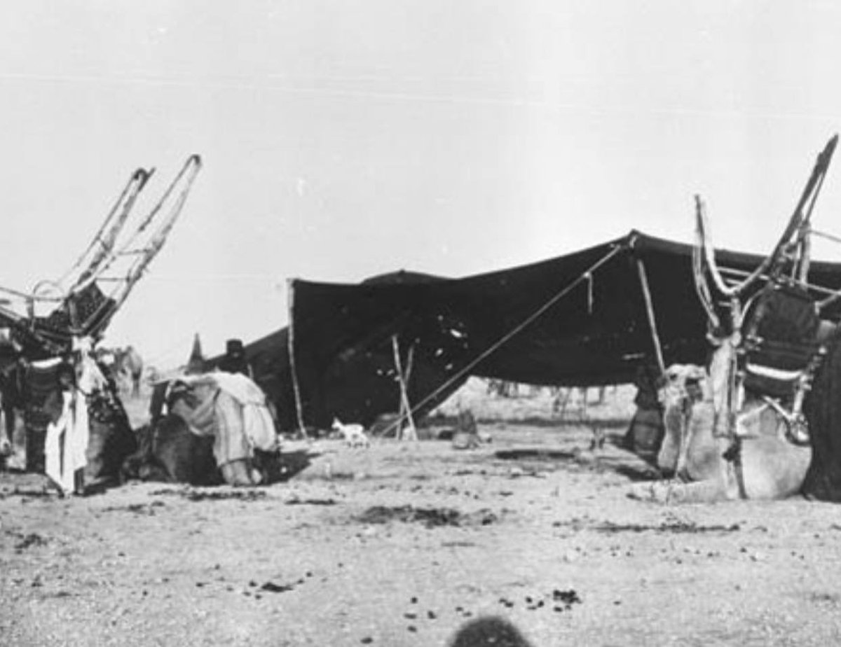 m3tan2's tweet photo. صور من #ارشيف قبيلة عنزه [ نزل الشيخ جدعان الهذال ] :

- Album Y 1913-1914 - Syria, Jordan, Saudi Arabia, Iraq
- Date taken: April 1914
- Photographer: Gertrude Bell
Location: Between Wizeh and Ga'rah - Iraq #الحبلان #الصقور #عنزه https://t.co/VKJ4CAkIAt