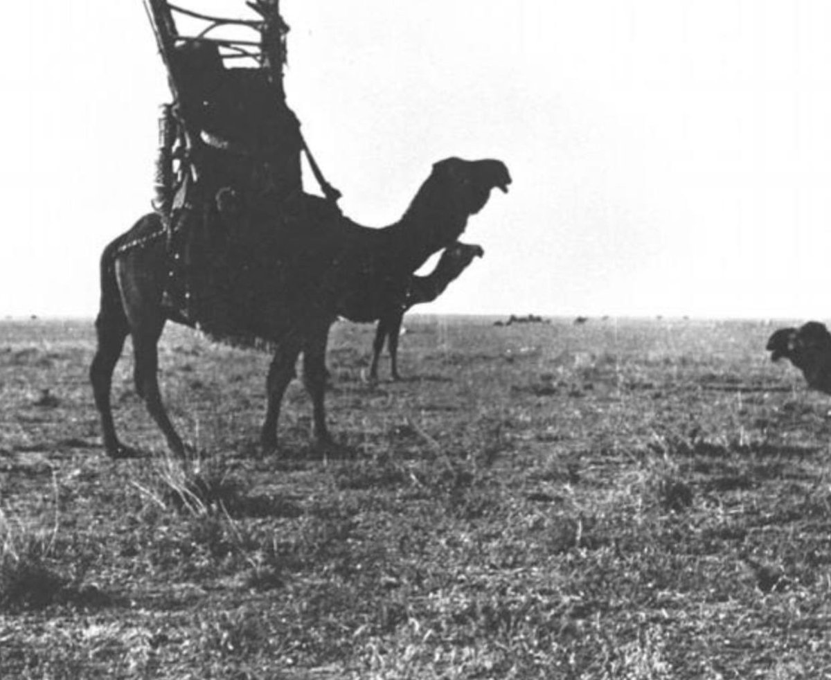 m3tan2's tweet photo. صور من #ارشيف قبيلة عنزه [ نزل الشيخ جدعان الهذال ] :

- Album Y 1913-1914 - Syria, Jordan, Saudi Arabia, Iraq
- Date taken: April 1914
- Photographer: Gertrude Bell
Location: Between Wizeh and Ga'rah - Iraq #الحبلان #الصقور #عنزه https://t.co/VKJ4CAkIAt