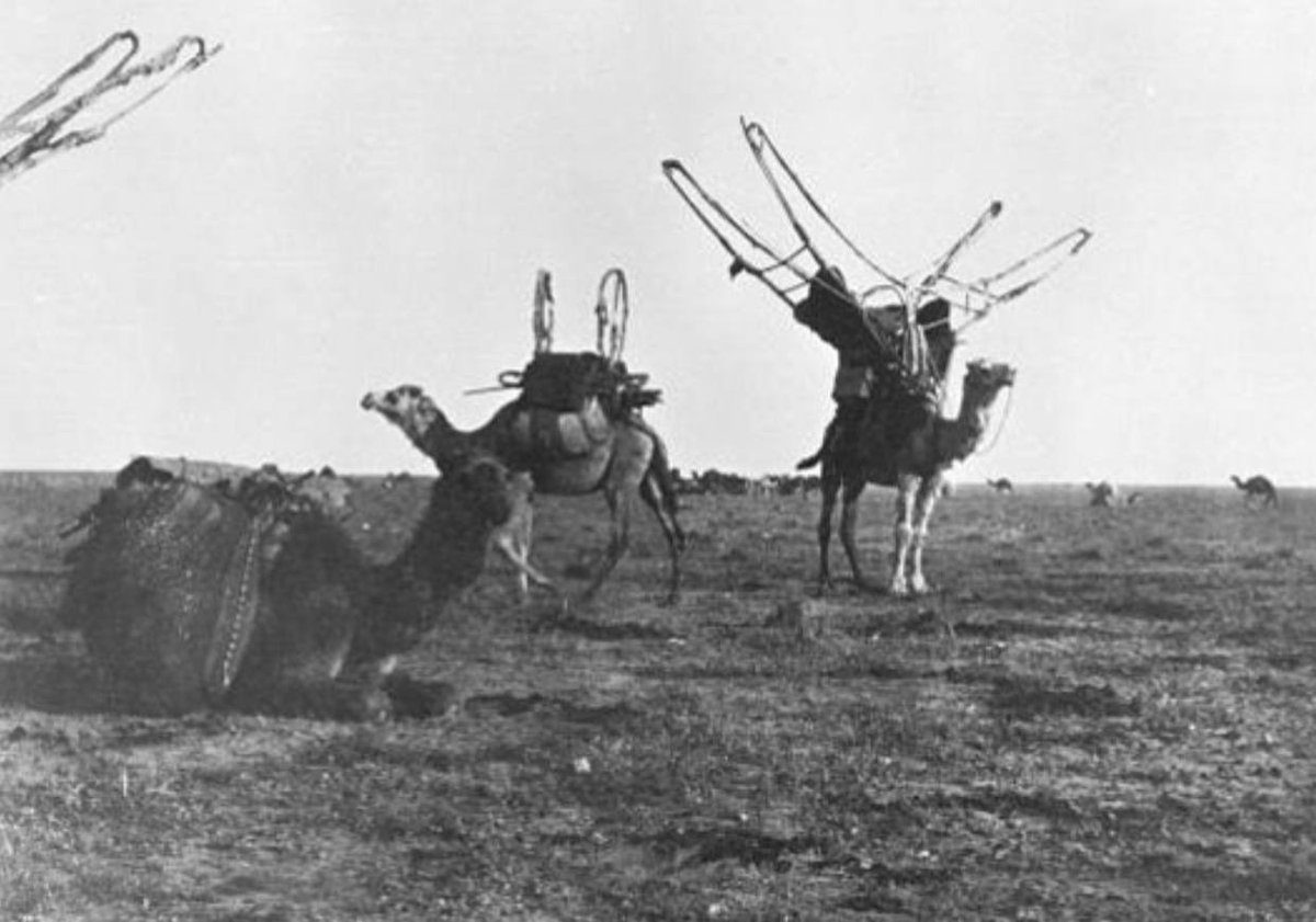 m3tan2's tweet photo. صور من #ارشيف قبيلة عنزه [ نزل الشيخ جدعان الهذال ] :

- Album Y 1913-1914 - Syria, Jordan, Saudi Arabia, Iraq
- Date taken: April 1914
- Photographer: Gertrude Bell
Location: Between Wizeh and Ga'rah - Iraq #الحبلان #الصقور #عنزه https://t.co/VKJ4CAkIAt