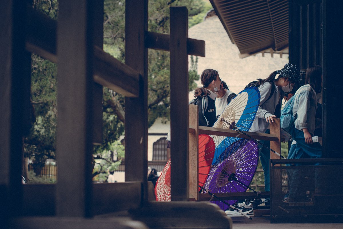 Tosh99H's tweet photo. 雨が降ろうが無かろうが
Nikon D5300 × NIKKOR-S Auto 50mm F1.4（1960年発売） 
#photography 
#オールドレンズ 
#vintagelens https://t.co/KKr3Uynmek