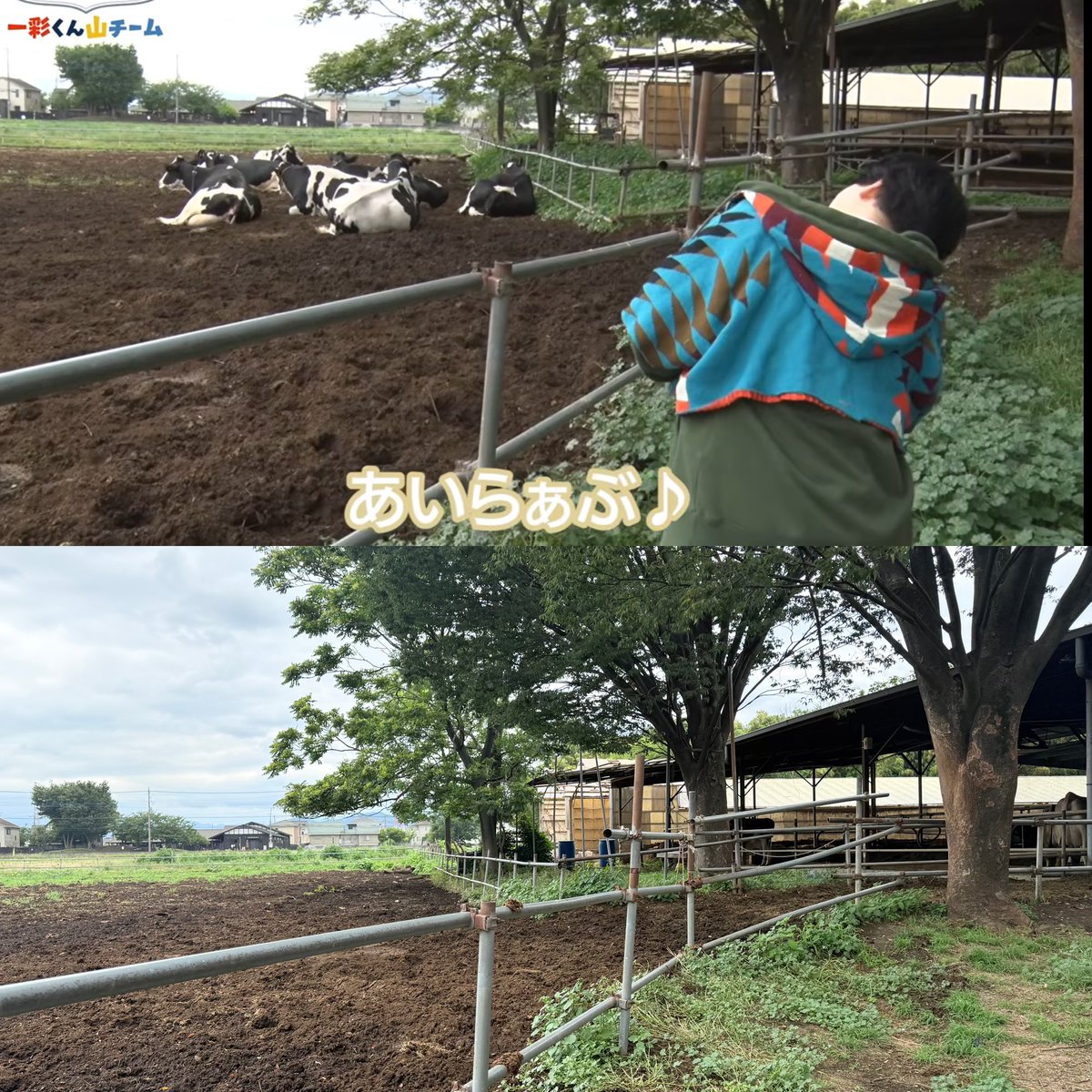 1234567maru's tweet photo. 🐮加藤牧場さん
行ってきました🚗³₃

みんなのサインありましたよーん♡
今日も牛さんお休みってかんじでした💕
チーズたこ焼きも、ソフトクリームもめちゃ美味でした😋♡ https://t.co/InCCqIA0yV