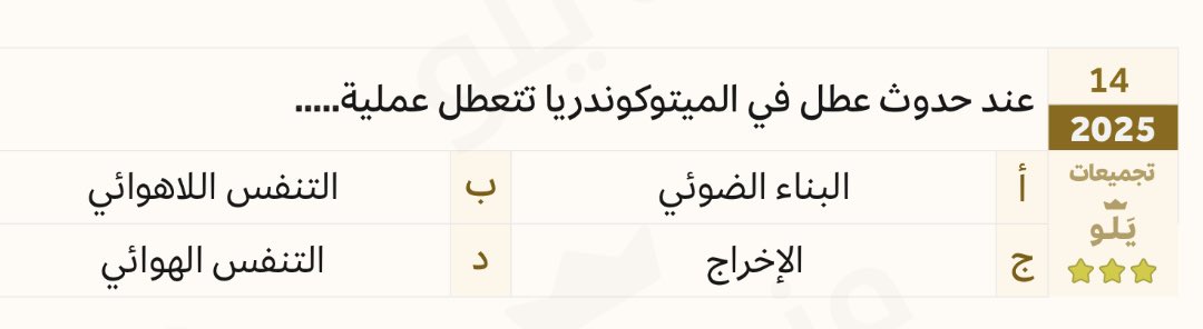 meshal tweet media