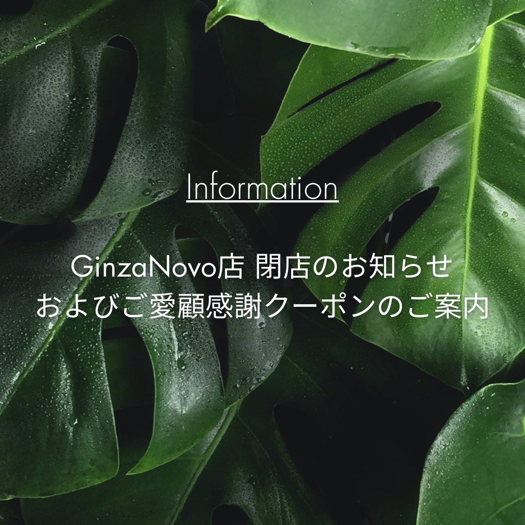 THANNJapan's tweet photo. 【お知らせ】GinzaNovoの大規模改装工事に伴い、2026年7月20日（月・祝） をもちましてTHANN GinzaNovo店は営業を終了させていただくこととなりました。長きにわたりご愛顧いただきました皆さまに、心より感謝申し上げます。 https://t.co/oOtdWtkgKi