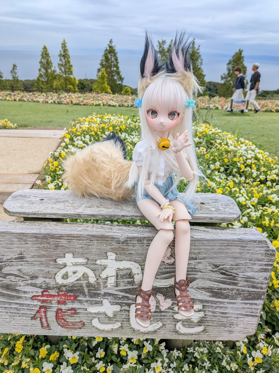 deepsky2008t's tweet photo. はなさじき🦊
タダなの？😳
#ちぇりーちっぷす #やりっこ  #MDDはいいぞ https://t.co/hdliRqanov