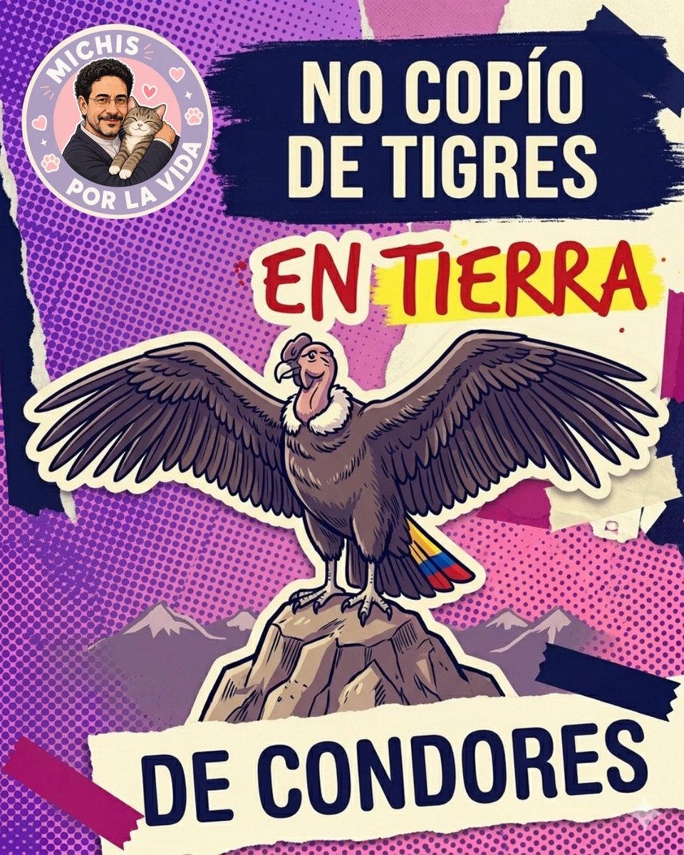 Michis Por La Vida 🫰🇨🇴 tweet media