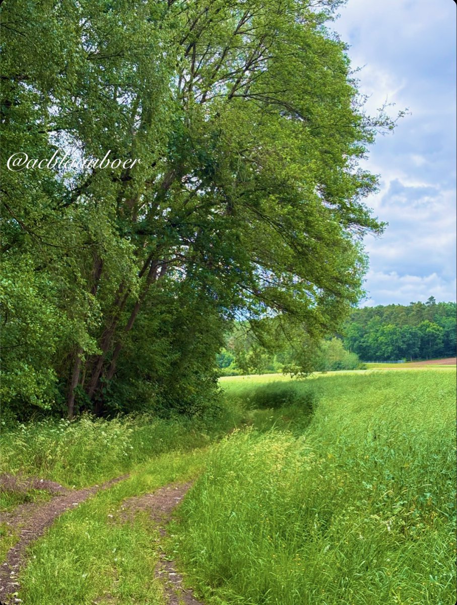 acblaauboer's tweet photo. Step into uncertainty. 
If you fail, you gain wisdom. 
If you win, you gain a new life.

Epictetus https://t.co/CKdOelkHfC