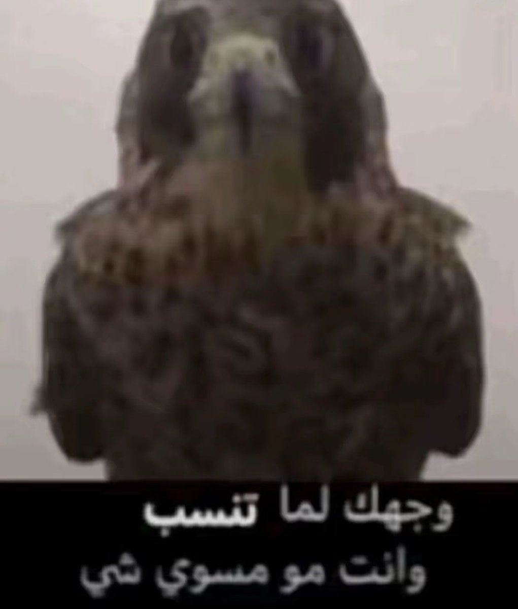 9 tweet media
