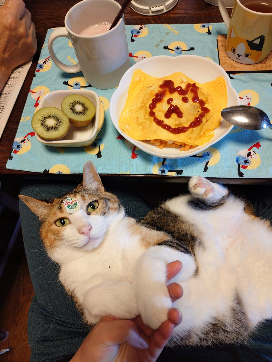 kawaii_nekoniko's tweet photo. 朝ごはんオムライスとゼスプリたべました https://t.co/qTPRzcd9OZ