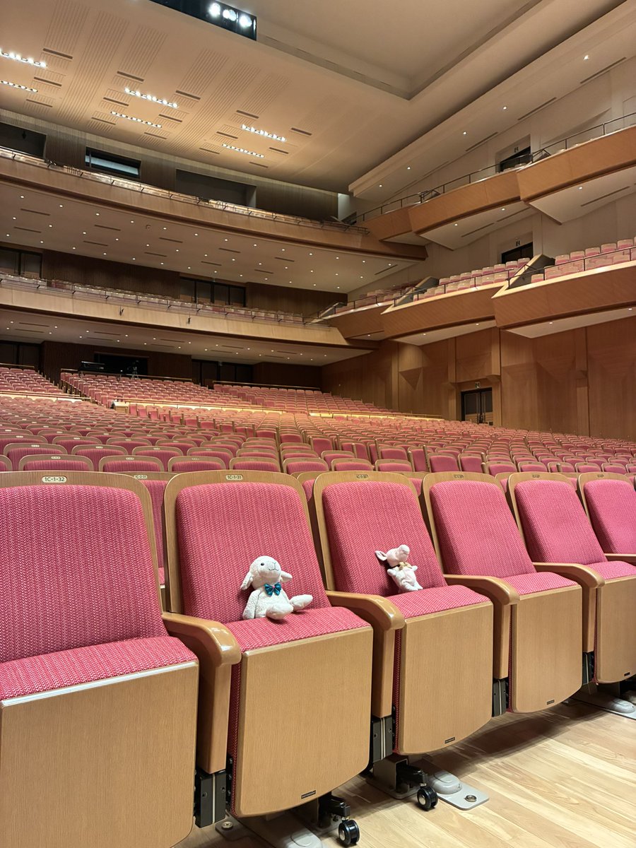 zingi_h's tweet photo. 主、がんばれー🐏🐖✨ https://t.co/pbhrztxAil